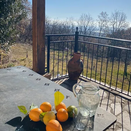 Vergel San Pedro 木屋