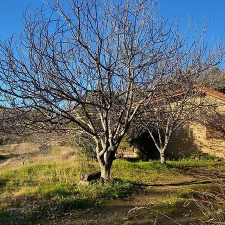 Chalet Vergel San Pedro