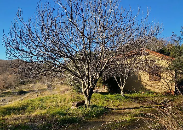 Chalet Vergel San Pedro